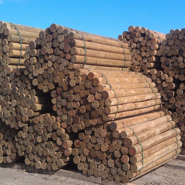 Treated Pine Posts