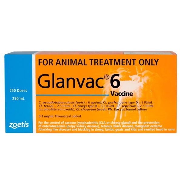 Zoetis Glanvac 6in1 Vaccine 250ml
