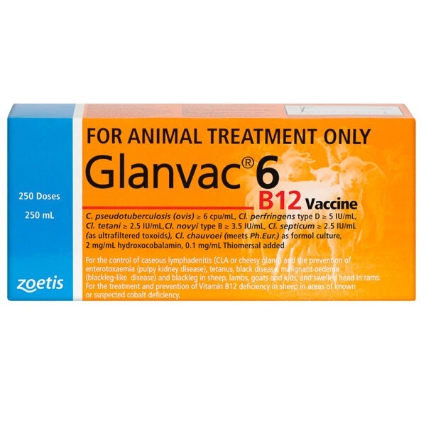 Zoetis Glanvac® 6 B12 Vaccine 250ml