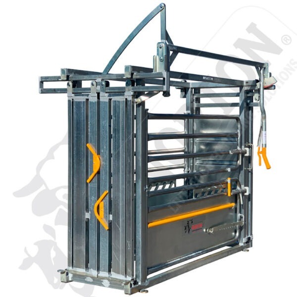 Norton Cattle Crush Standard