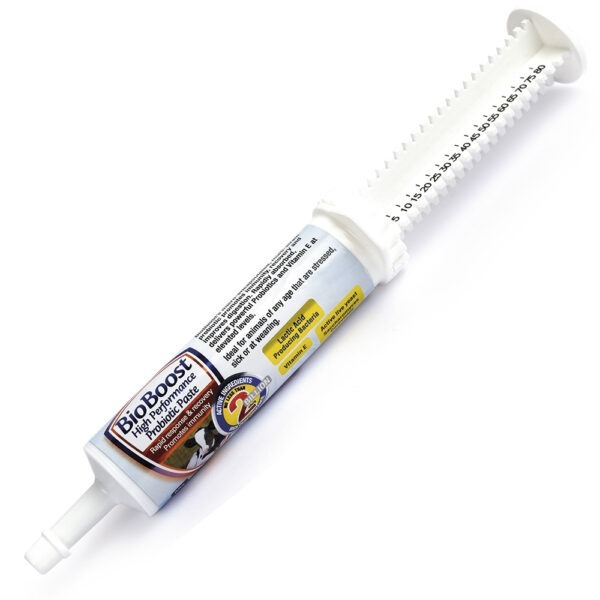 Dasco Bioboost Probiotic Paste 80g Syringe
