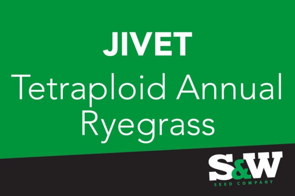 Jivet Annual Ryegrass