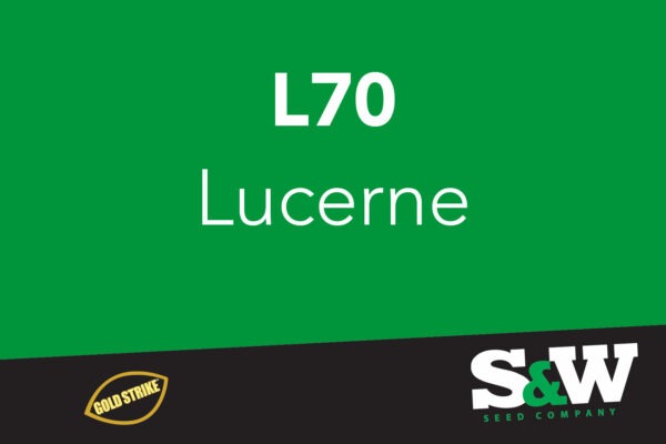 L70 Lucerne - Goldstrike