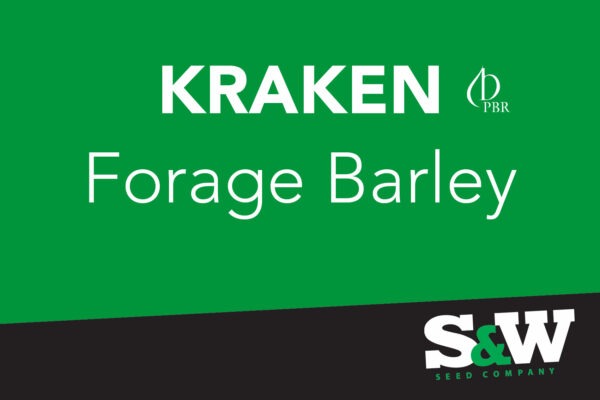 Kraken Forage Barley