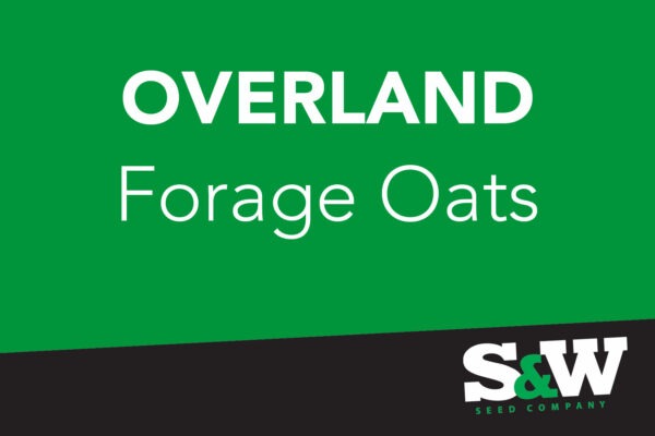 Overland Forage Oats