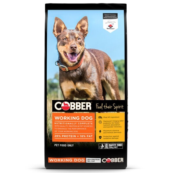 Cobber Working Dog 20kg